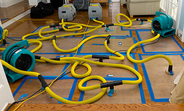 Professional Basement Flood Cleanup technician working in Renner, SD